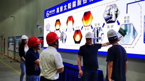 “保姆式”服务优化产业体验 激发光伏新“电动力”